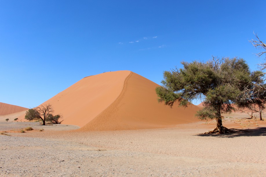Namib Naukluft Wüste
