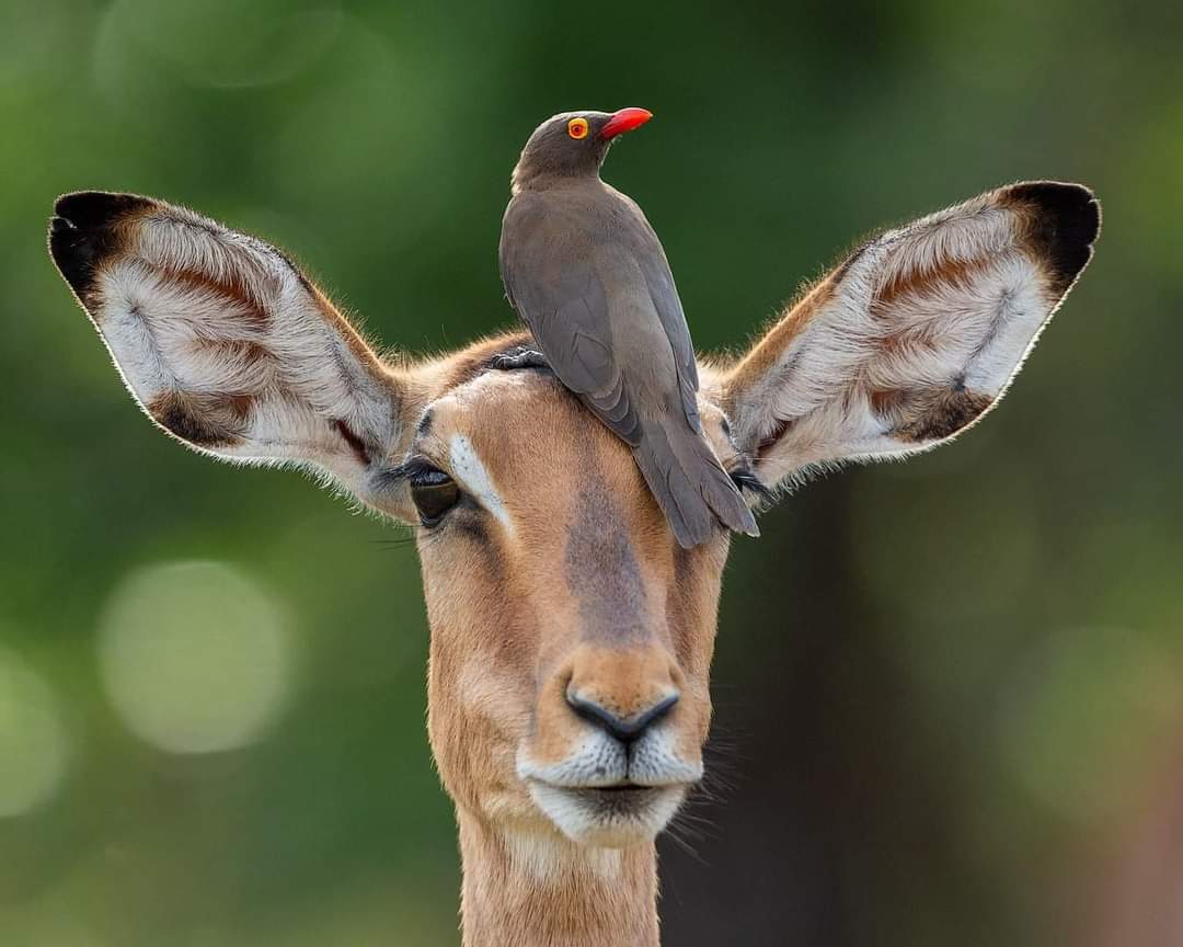 Allradfahrzeug auf Entdeckungstour
